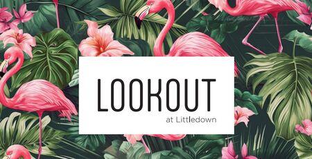 BH Live Lookout at Littledown