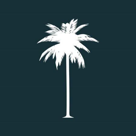 The Coconut Tree Bournemouth
