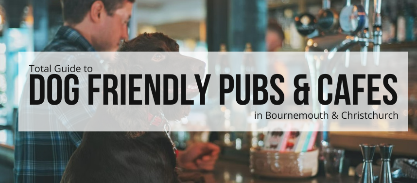 Dog-Friendly Pubs and Cafes in Bournemouth and Christchurch