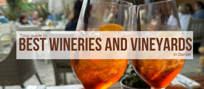 Dorset's Best Wineries and Vineyards