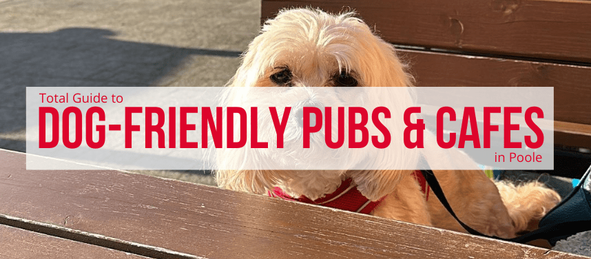 Dog Friendly Pubs & Cafés in Poole