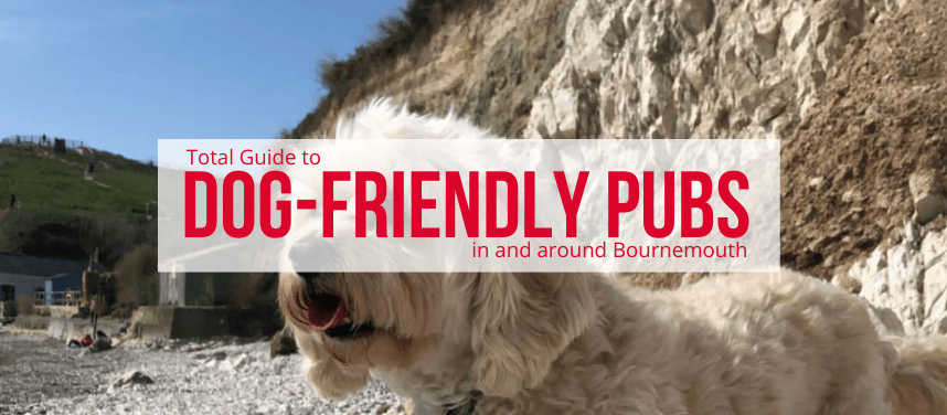 Dog-Friendly Pubs and Cafes in Bournemouth and Christchurch