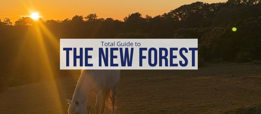 Guide to the New Forest | Things to Do, What’s On & Where to Eat and Drink