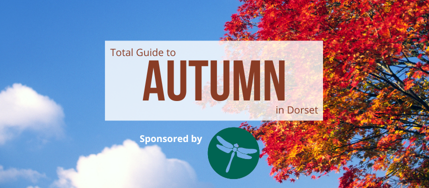 Top Things To Do In Dorset This Autumn