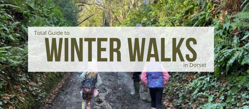 Winter walks in Dorset