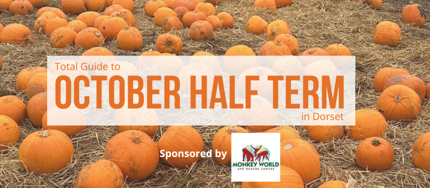 School Holidays in Dorset | Half Term in Dorset