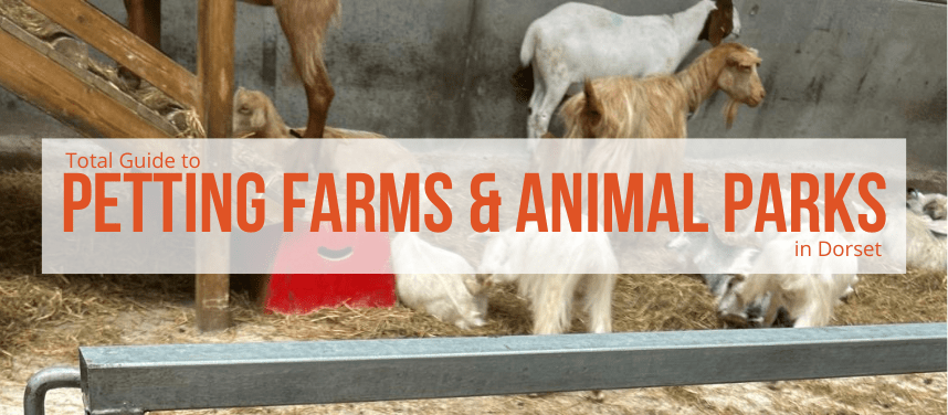 Dorset's Petting Farms and Animal Parks