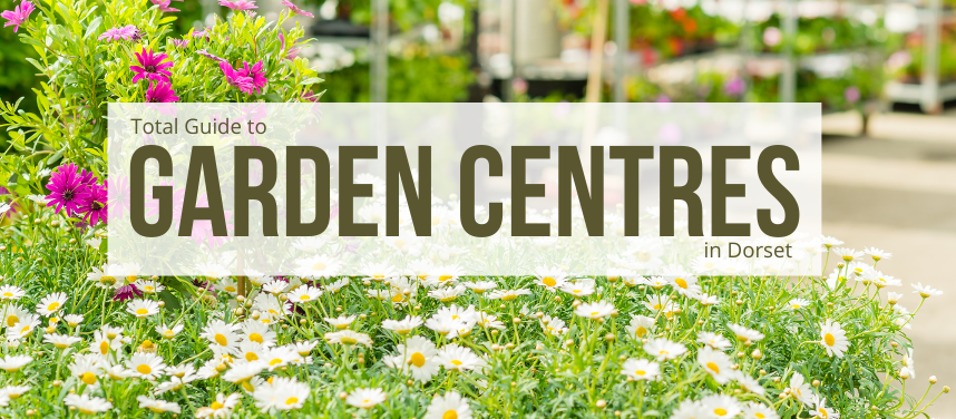 Best Garden Centres in Dorset | Where to Shop for Plants 