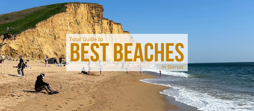 Banner: Best Beaches our image